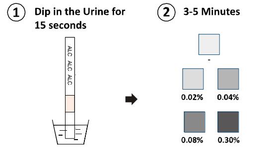 Biochemical Assay ALC Alcohol Test Kits Dipstick Panel Detect Presence In Urine