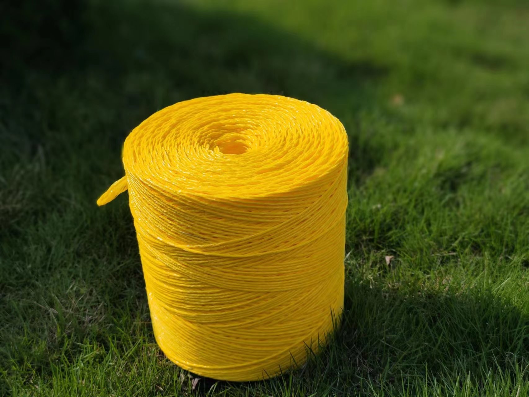 Abrasion Resistance PP Baler Twine In Vibrant Colors Moisture Resistant And Custom Lengths