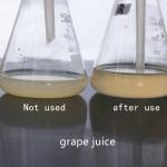 Commercial Pectinase Liquid Customized Food Grade & Industrial Grade