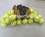 Hot Sales Interactive Automatic Pet Tennis Ball Launcher Dog Toy Tennis Balls
