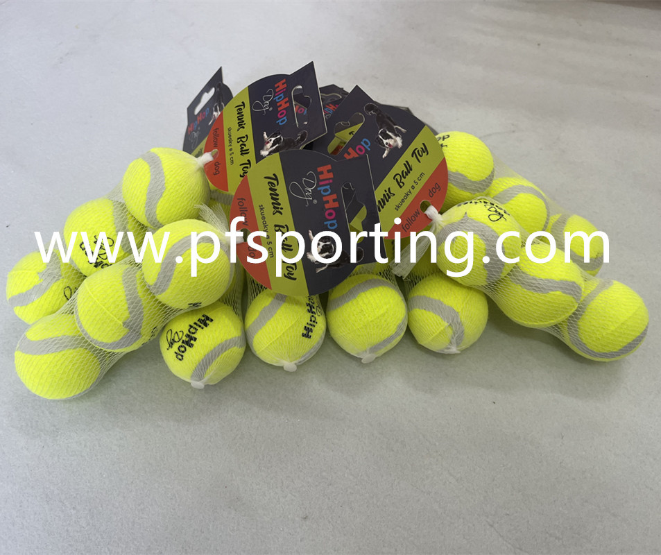 Hot Sales Interactive Automatic Pet Tennis Ball Launcher Dog Toy Tennis Balls Throw Launcher