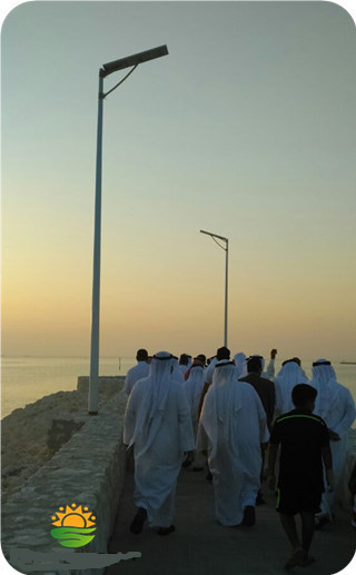 4300 Lumens 40W LED Integrated All in One Solar Street Light with 5 Years Warranty (SNSTY-240)
