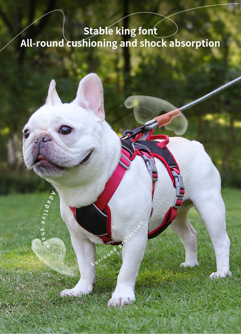 Dog harness for small and medium sized dogs, anti-breakaway dog ​​leash, reflective anti-escape leash