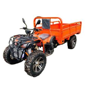 China 800 1000W 2 Cylinder Water-Cooled ATV 250CC 4X4 Off Road Buggy with Cargo Buckets wholesale