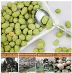 Electric Coated Peanut Swing Oven Coated Peanut Roastr 100KG/h