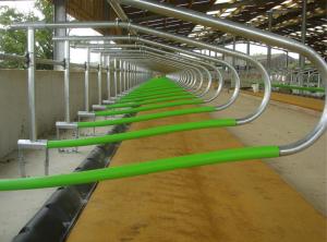 China Indoor Cow Free Stall Dairy Barn Poultry Farm Equipment ISO9001 Approval wholesale
