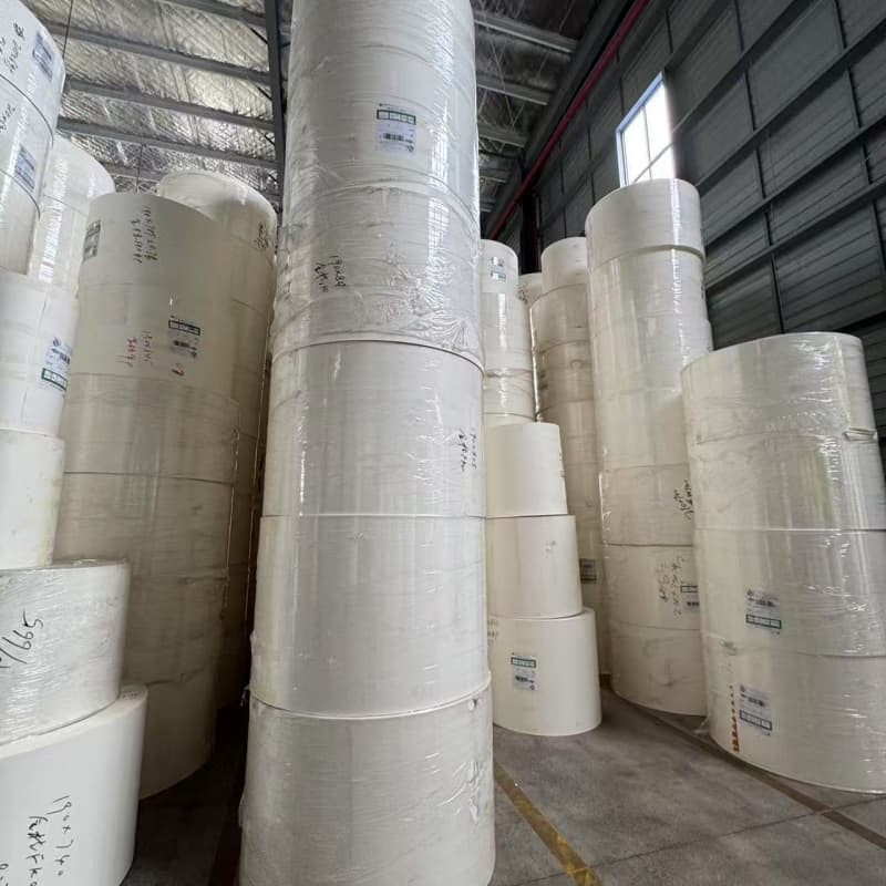 Eco Friendly Disposable PE Coated Paper Roll Custom For Food Packaging Containers