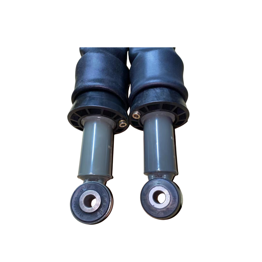 Rear Shock Absorber and Springs Set for Howo Series Truck WG16171430119/WG1671440180