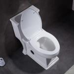 Handicap American Standard Ada Elongated Toilet 1 Piece Water Conservation
