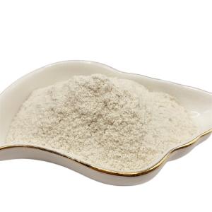 China 80 Mesh Agriculture Chitosan Natural Polymer Raw Material wholesale