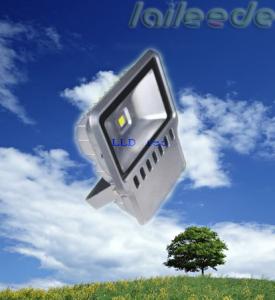 China 100w security No Blinking Outdoor Led Floodlight Suitable for general lighting wholesale