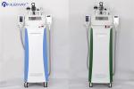 Bottom price best effective cavitation rf vertical cryolipolysis fat freeze