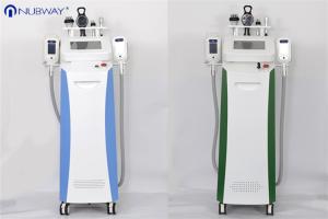 China The professional slim freeze cavitation cryotherapy rf 5 handles cryolipolysis fat freezing machine cryolipolysis device wholesale