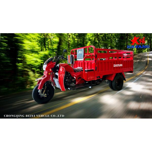 300cc 3 Wheel Motorcycle Motorized Cargo Tricycle for Your Customer's Requirements