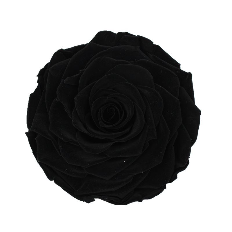 Home Decor Preserved Rose Heads Creative Household Decorative Furnishings