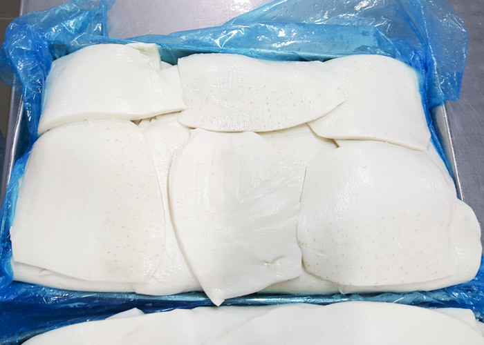 Frozen Boiled Giant Squid Darumar Thickness 6mm - 12mm 8 Minutes Boil Time
