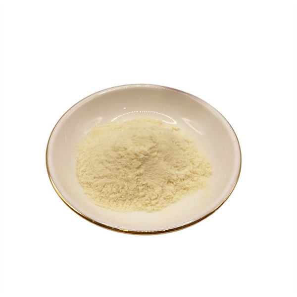 Water Soluble 95% Soy Protein Powder Plant Source Enzymatic Hydrolysis Amino