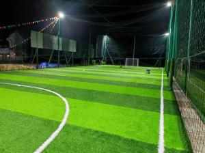 China SGS Diamond 66 Sports Football Artificial Turf 50m Height wholesale