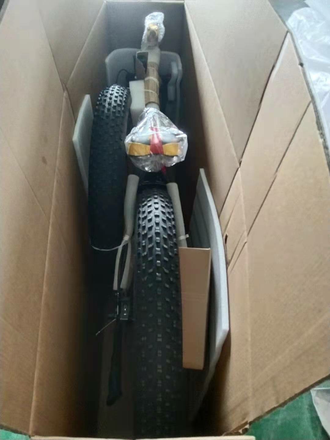 US EU STOCK Long Range Fat Tire Electric Bike 1000w 17Ah All Terrain Motorcycle Hardtail Rich Bit Rt-012