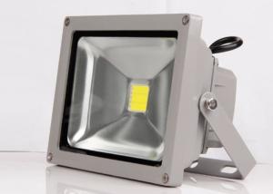 China Waterproof Outdoor Lighting Fixtures 50W For Town Landscape Lighting ROHS Approved wholesale