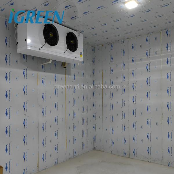 Hydroponics Vegetable And Flower Cold Storage Room Walk In Freezer Customization