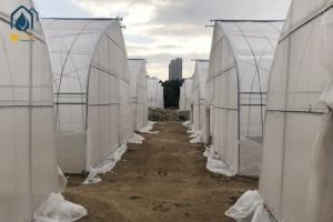 China Agriculture Tunnel Greenhouse Galvanized Steel Frame Single Span Greenhouse wholesale