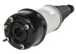 Rear XJ Jaguar Air Suspension Kits C2C41340 For X350 X358 XJ6 XJ8 XJR