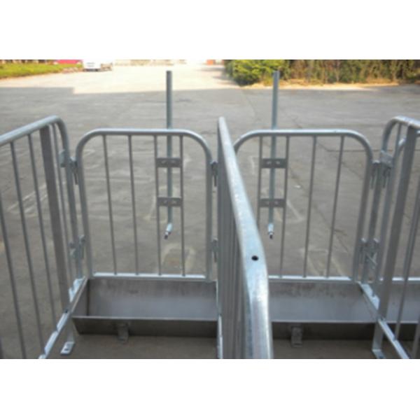 Hot Dip Galvanizing Hog Gestation Crates Customized Pif Farm Stall With Different Size