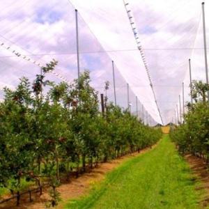 China 100% PE Anti Hail Netting Virgin HDPE Material Customized Service wholesale