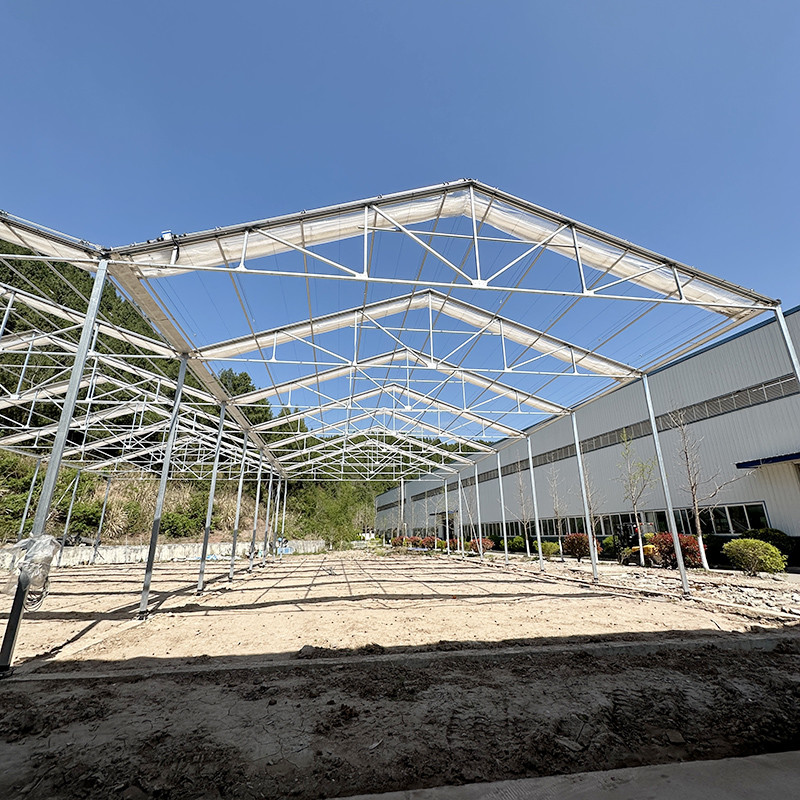 Single Layer Stable Structure Poly Tunnel Greenhouse for Agricultural Retractable Film Automated