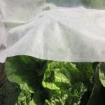 120Gsm PP Spunbond Agricultural Mulch Film