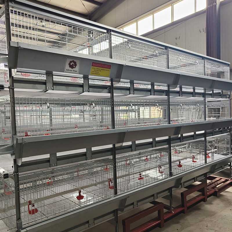 380V 50HZ Automatic Broiler Equipment For Chicken Houses Has Received SONCAP Approval.
