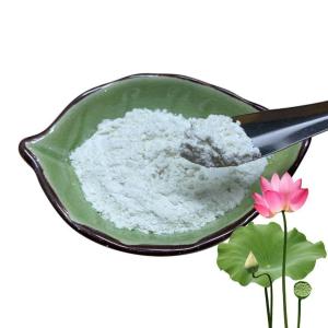 China Medicinal Lotus Flower Extract 10% 50% 98% Nuciferine Powder Stimulate Digestion wholesale