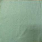 160GSM Cotton Oxford Cloth Fabric Natural Drape And Touch Soft Light Green