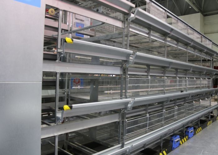 High Capacity Broiler Farming In Cage System Environmental Friendly
