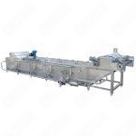 industrial fresh Fruit Root Vegetable Potato Blanching Machine Price
