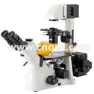 China Reflected Fluorescence Biological Microscope Laboratory A16.0900 wholesale