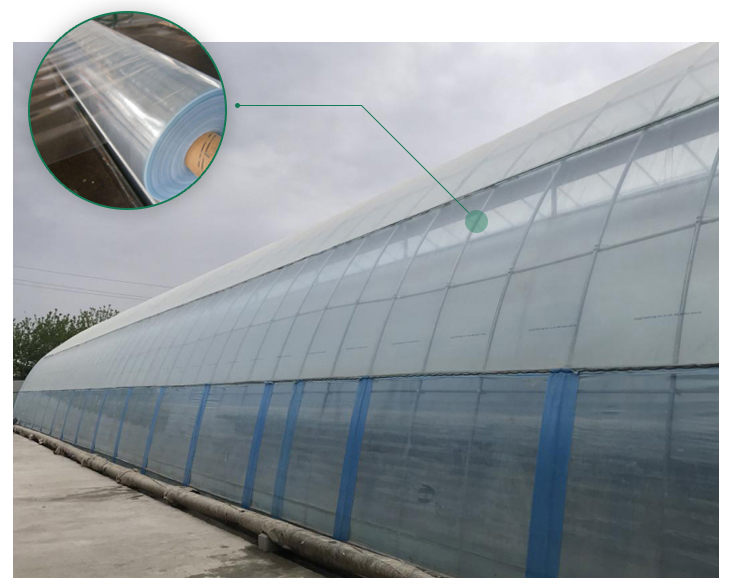 Automatic Controlling System Single Layer Greenhouse for Commercial Korean Model Film