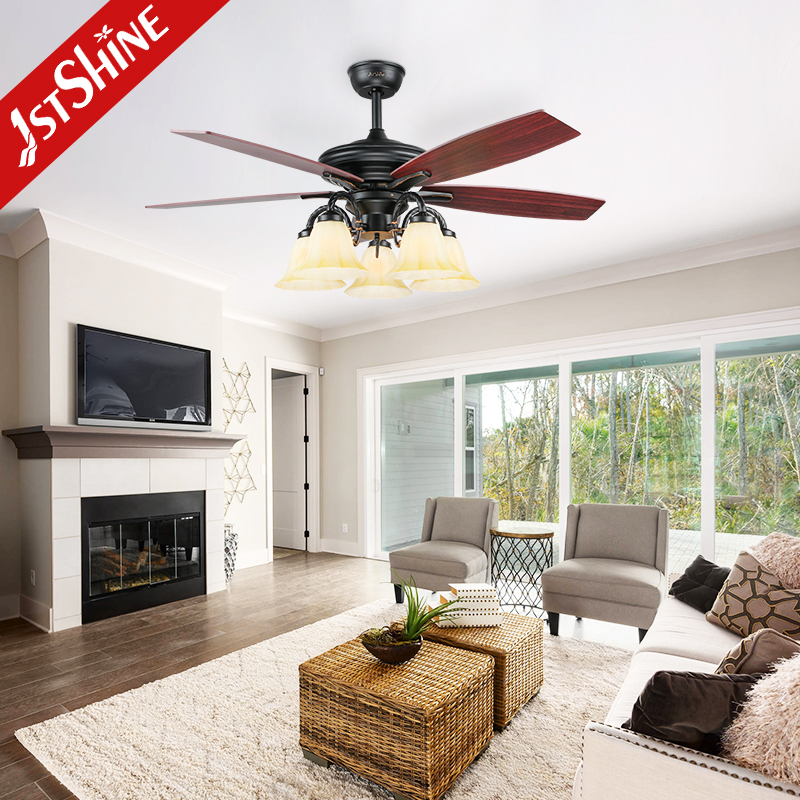 ceiling fan