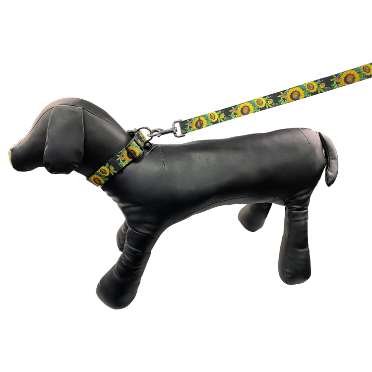 Custom Design Harness Leash Set Easy To Maintain Puppy Lead Set