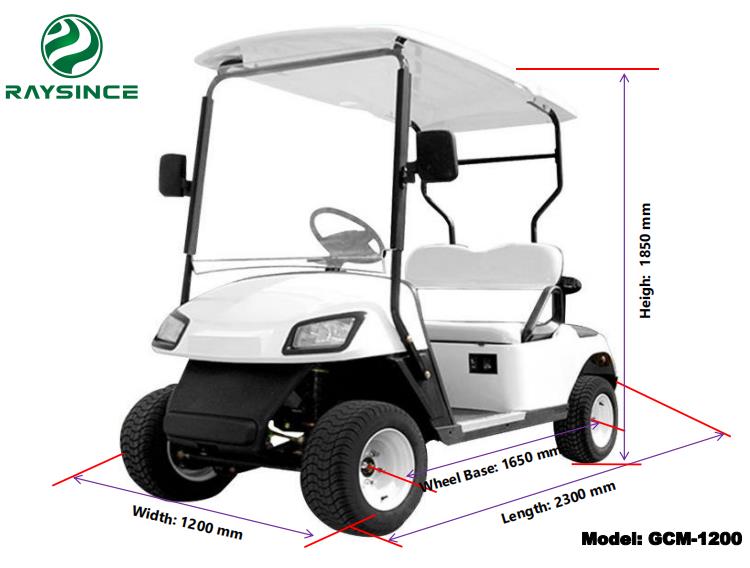 Qingdao China factory supply mini electric golf carts cheap price 60V battery golf buggy with 2 seats