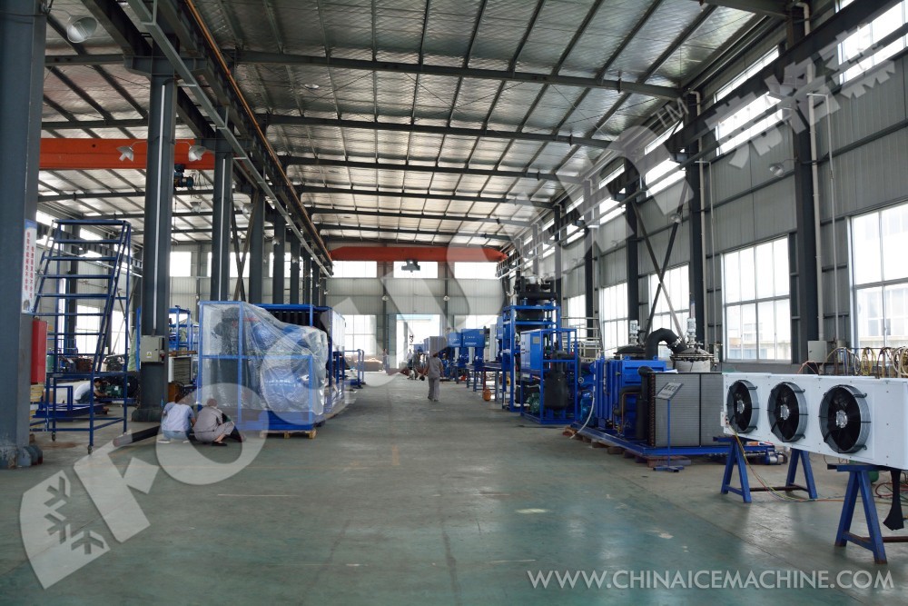 Long Service Life and Performance Ice Crushing Machine for Crushing Block Ice