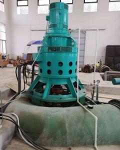 China Brushless Excitation Kaplan Generator Hydro Turbine Generator wholesale