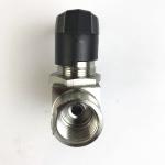 Stainless Steel Water Ball Valves 2pc Mini SS Ball Valve