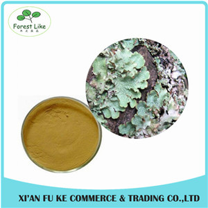 Factory Supply Iceland Moss Extract Powder 10:1 - 50:1