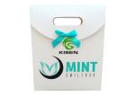 White Cardboard Gift Retail Paper Shopping Bags With Bowknot Ribbon Custom Logo