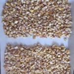 High Grade Bulk IQF Delicious China New Crop Frozen Chestnut Diced/IQF Peeled
