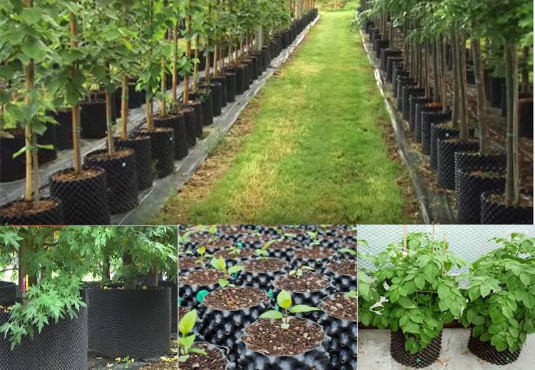 Eco Friendly Ventilated 0.5mm PVC Air Root Pruning Pot For Seed Planting