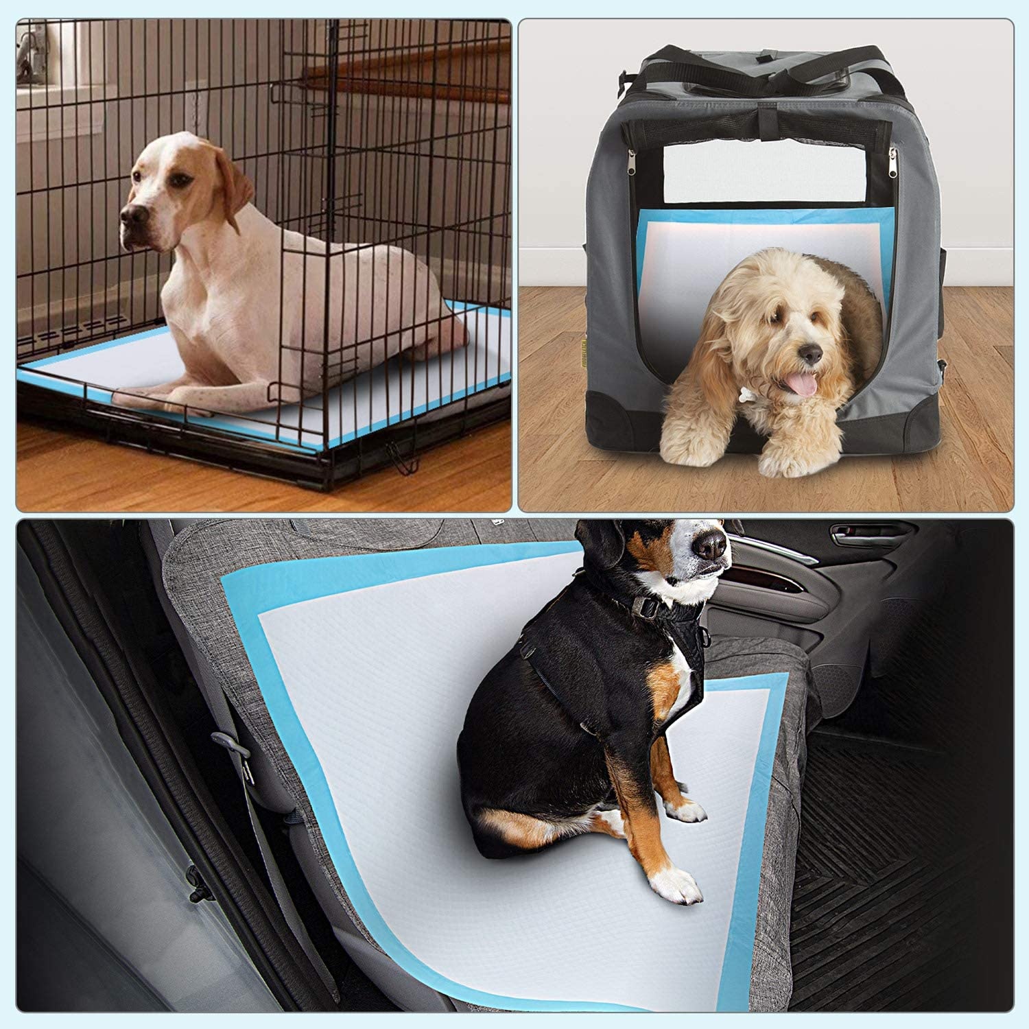 Freely Samples Offered Biodegradable Dog Puppy Extra Large Pet Cat Dog Training Puppy Pads