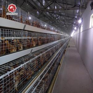 China Hot Galvanized Q235 Chicken Raising Equipment Multi Layer wholesale